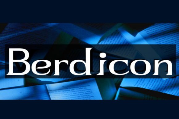 Berdicon: Bold Display Font for Modern Branding