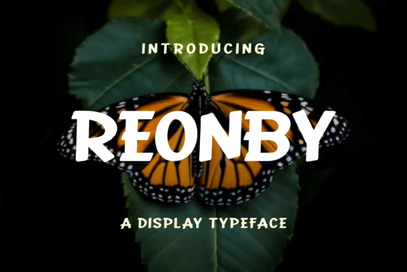 Reonby Display Font for Bold Business Branding